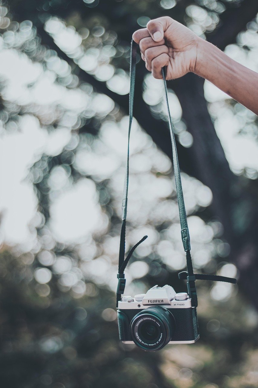 camera, nature, photographer, outdoor, tree, connectcompetition, concept